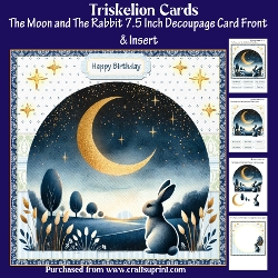 The Moon and The Rabbit 7.5 Inch Decoupage Card front with Insert and Sentiments