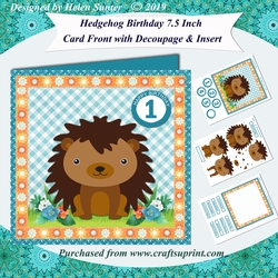 Hedgehog Birthday or New Baby 7.5 Inch Card Front with Decoupage & Insert