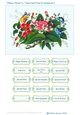Chinese Floral Art 5 x 7 Inch Card Front and Sentiments no.2