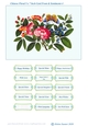 Chinese Floral Art 5 x 7 Inch Card Front and Sentiments no.4