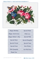 Chinese Floral Art 5 x 7 Inch Card Front and Sentiments no.11