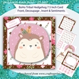 Boho Tribal Hedgehog 7.5 Inch 3D Decoupage Card Front with Insert and Sentiments