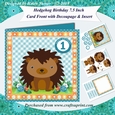 Hedgehog Birthday or New Baby 7.5 Inch Card Front with Decoupage & Insert