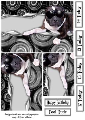 Cool Dude Staffie Sunglasses Pyramid