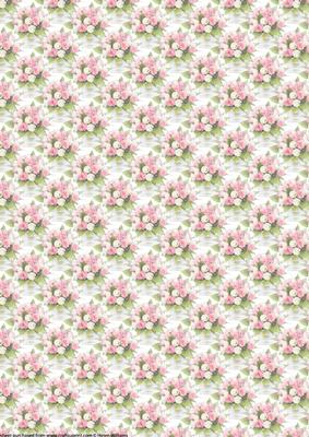Pink & White Rose Posy Vellum Small