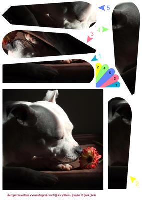 Staffordshire Bull Terrier Fan Sheet