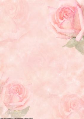Pink Rose Dream Paper/vellum