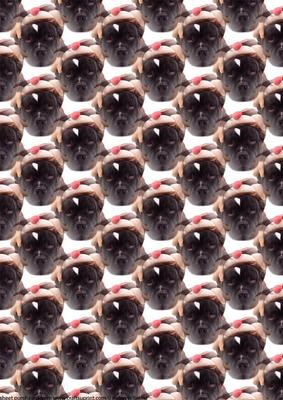 Staffordshire Bull Terrier Christmas Paper