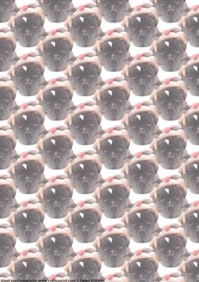Staffordshire Bull Terrier Christmas Vellum