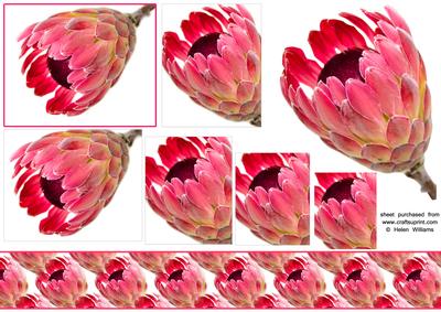 Pink Protea Topper & Pyramid