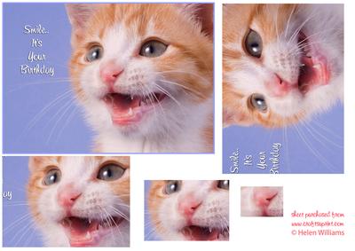 Smile It's Your Birthday 7x5inch Kitten Pyramid