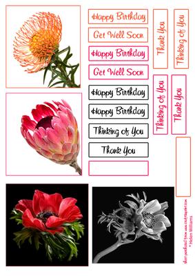 Floral Toppers Set of 4
