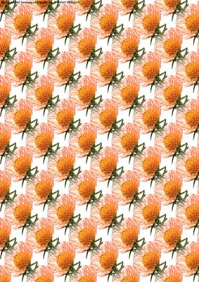Scabiosa (pin Cushion) Flower Paper