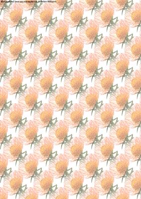 Scabiosa (pin Cushion) Flower Vellum