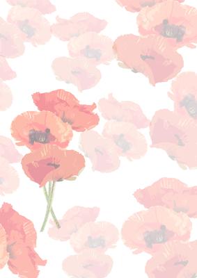 Poppy Art Trio Vellum 2