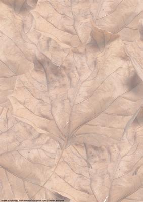 Autumn Leaves Vellum