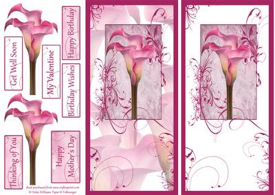 Cala Lily Floral Swirl Dl Card Fronts
