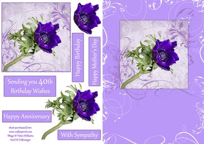 Purple Anemone Swirl Card
