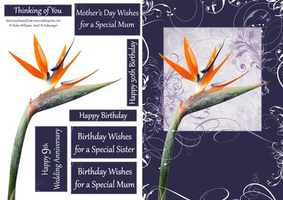 Bird of Paradise Swirl Step by Step