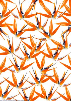 Birds of Paradise Backing Paper