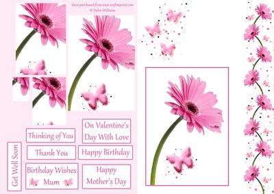 Pink Gerbera & Butterfly Wishes Pyramid