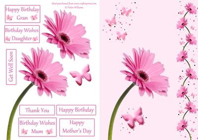 Pink Gerbera & Butterfly Wishes on Pink Step by Step