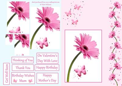 Pink Gerbera Butterfly Wishes on Pink Pyramid