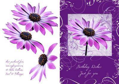 Osteo Swirl Quick Card / Step by Step