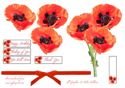 Poppy Trio 'just the Flowers' Step by Step