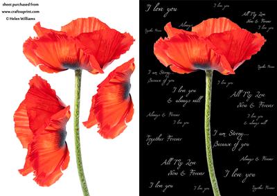 Poppy & Words Step by Step