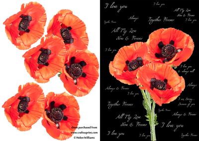 Poppy Trio & Words Step by Step
