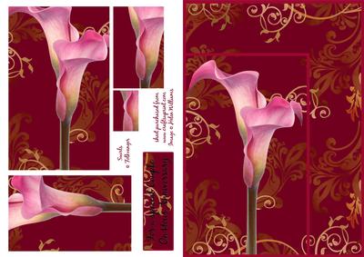 Indian Summer Cala Lily Anniversary Card