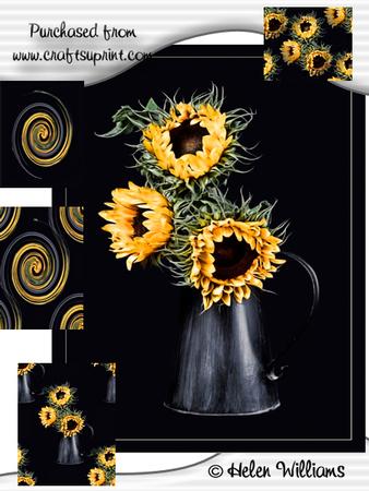 Sunflowers - cu4cu Image