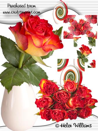 Flame Roses Cu4cu Images
