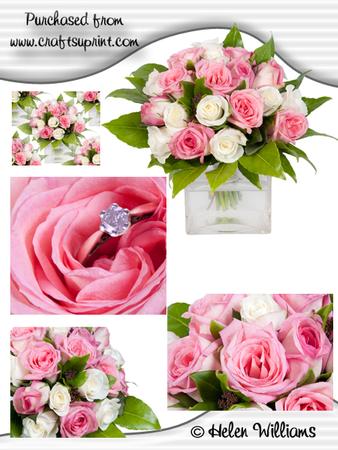 Pink & White Rose Posy Cu4cu Images
