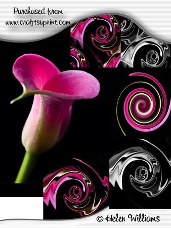 Hot Pink Cala Lily 'heart' & Metallic Eye Cu4cu Image