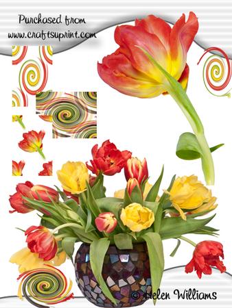 Tulips in a Vase & Tulip Cu4cu Image