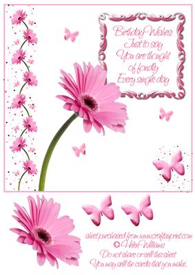 Pink Gerbera & Butterfly Wishes 8x8 Inch Topper Birthday