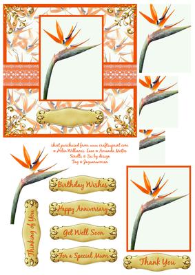 Bird of Paradise Square Step by Step / Pyramid