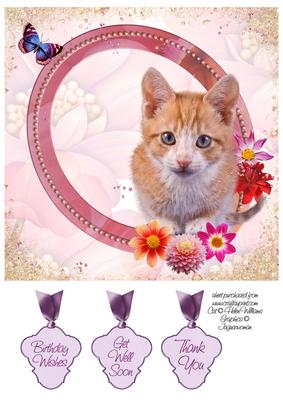 Kitten & Flowers 8x8inch Topper