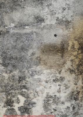 Textured Old Walls Cement Mould Grunge Backing Paper