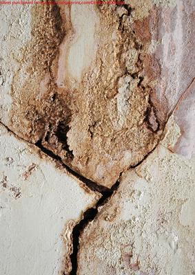 Textured Old Walls Cement Mould Grunge Backing Paper
