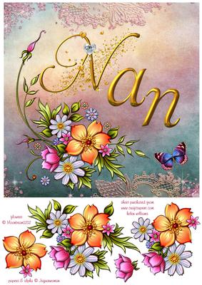 Nan Flowers & Butterfly Card Front