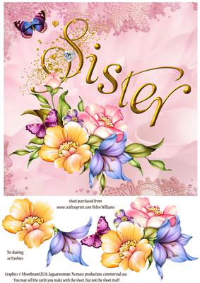 Sister Butterfly & Flowers Step by Step