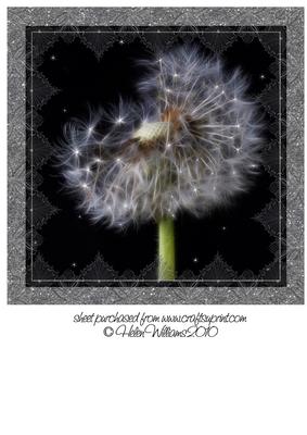 Magical Dandelion 8x8inch Topper