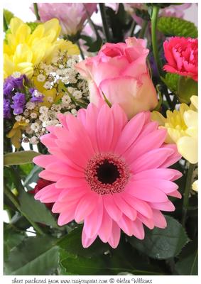 Pink Gerbera Bouquet Art A4 Topper