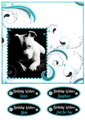 Staffordshire Bull Terrier in Mono on Teal Swirls