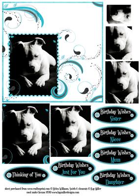 Staffordshire Bull Terrier in Mono on Teal Swirls Pyramid