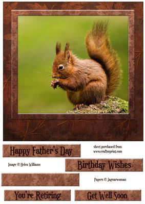 Red Squirrel on Leafy Brown 8x8 Inch Topper