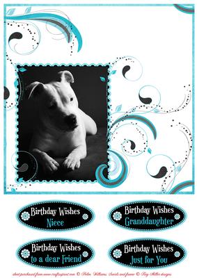 Staffordshire Bull Terrier in Mono on Teal Swirls 2